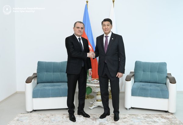 Azerbaijan, IOFS explore new avenues for strengthening cooperation (PHOTO)