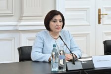 Azerbaijani Parliament Speaker meets with President of Georgia to discuss interparliamentary relations (PHOTO)