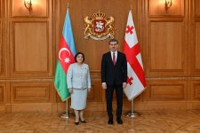 Azerbaijani Parliament Speaker meets with President of Georgia to discuss interparliamentary relations (PHOTO)