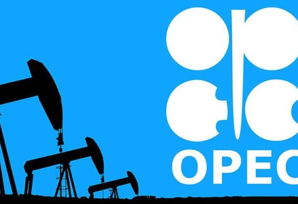 OPEC sees steady oil demand growth continuing through 2026