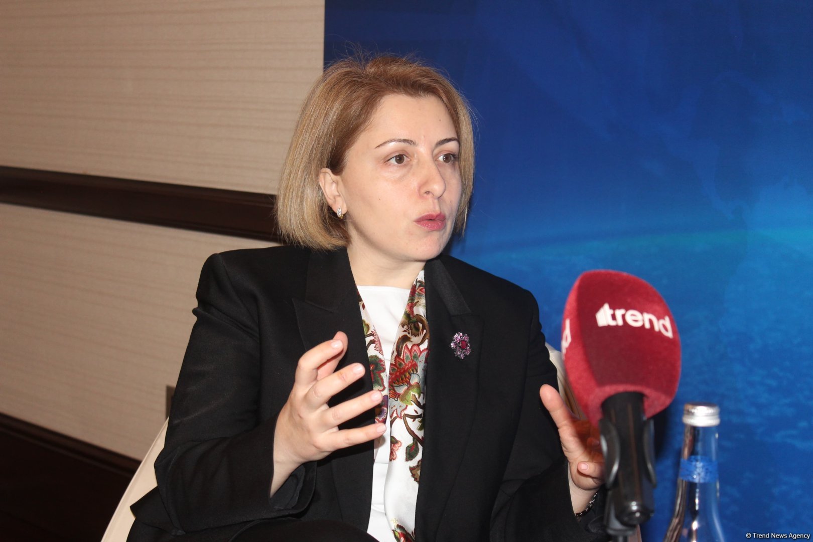 Black Sea energy cable project confirms Azerbaijan’s global significance - Eka Tkeshelashvili (Exclusive Interview) (PHOTO)