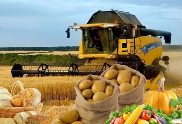 Azerbaijan's agricultural output shows upwards trajectory in 2024
