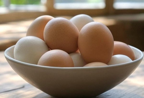 Kazakhstan set to restrict chicken egg imports from EAEU, and third nations