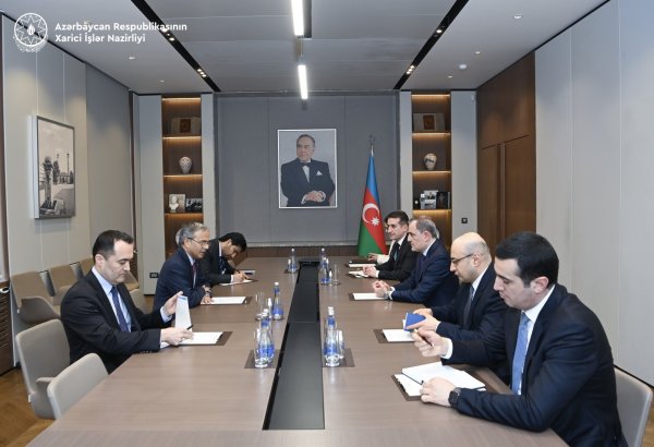Azerbaijani FM, ECO Secretary General address summit preparations (PHOTO)
