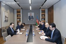 Azerbaijani FM, ECO Secretary General address summit preparations (PHOTO)