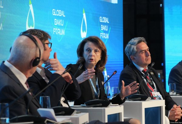Consequences of using new techs need more focus - Montenegro's ex defense minister