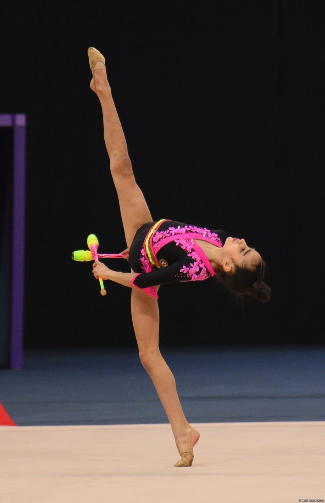 Azerbaijan's Baku hosts 30th National Rhythmic Gymnastics championship (PHOTO)