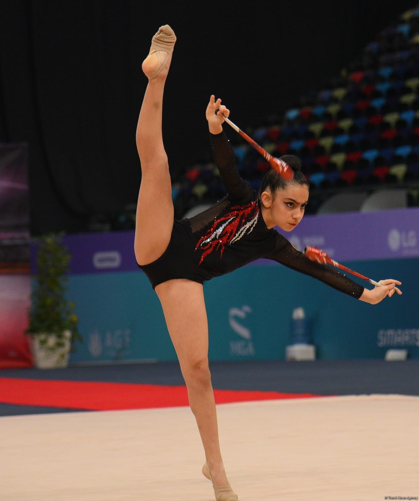 Azerbaijan's Baku hosts 30th National Rhythmic Gymnastics championship (PHOTO)