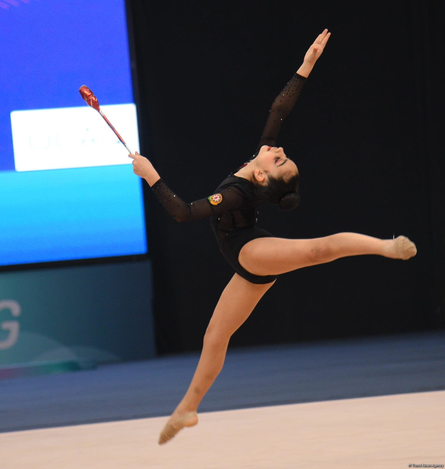 Azerbaijan's Baku hosts 30th National Rhythmic Gymnastics championship (PHOTO)