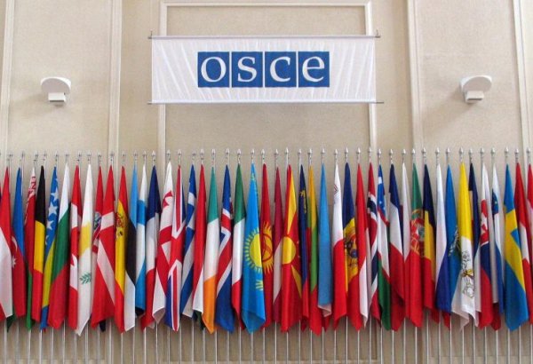 OSCE PA hails peace treaty progress between Azerbaijan, Armenia