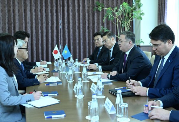 Kazakhstan's Turkestan to benefit from Japanese firm's off-grid power supply system