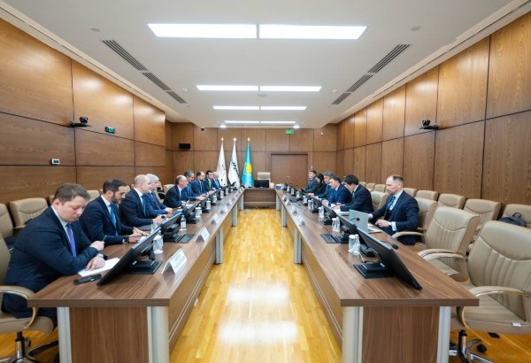 KazMunayGas, Tecnicas Reunidas review progress on major polyethylene project