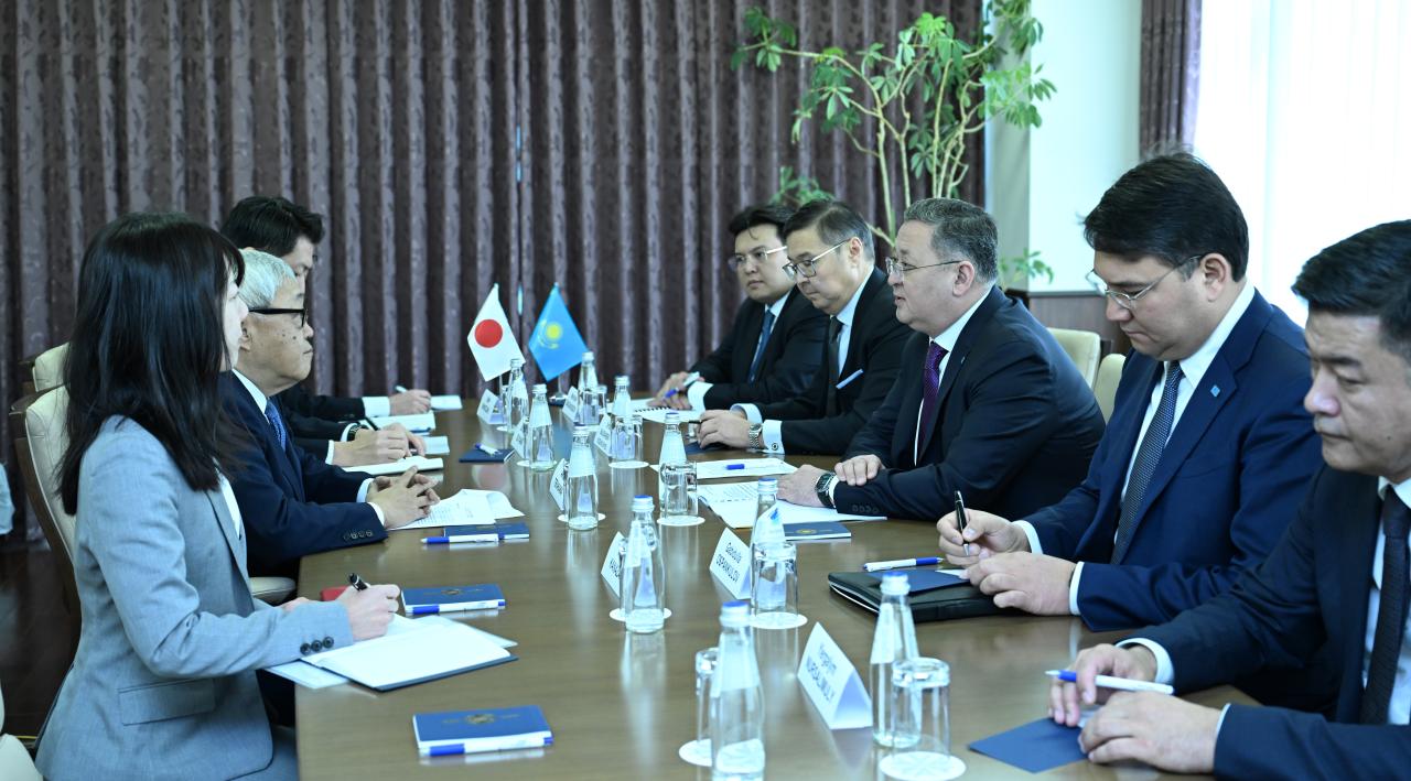 Kazakhstan's Turkestan to benefit from Japanese firm's off-grid power supply system