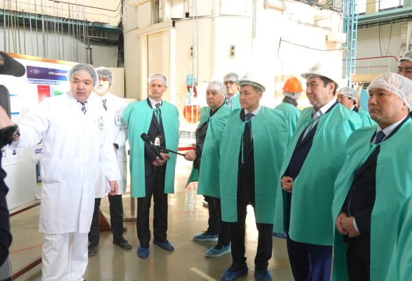 Kazakhstan rolling up sleeves to craft law on radioactive waste ruling and nuclear safety