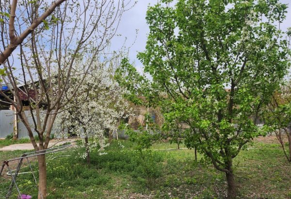 Exclusive photos capture transformation of Azerbaijan’s Jojug Marjanli village (PHOTO)