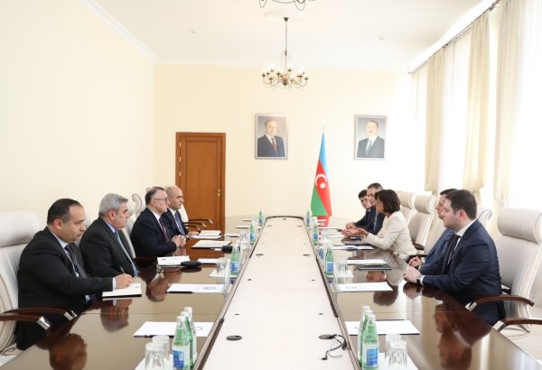 Azerbaijan holds meeting with US-based GE Healthcare (PHOTO)