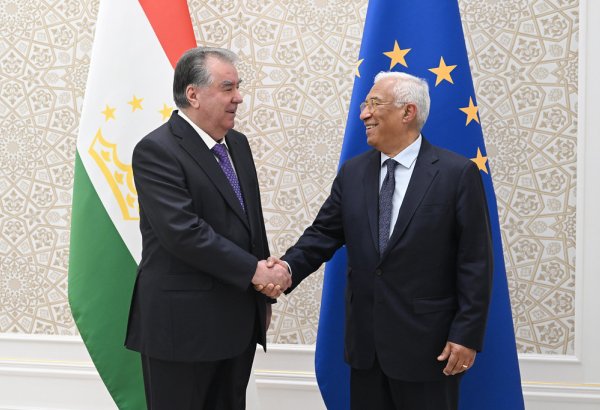Tajikistan strives to attract European investment in hydropower projects