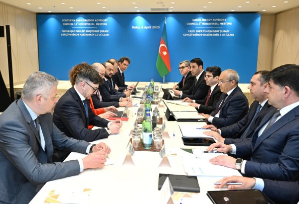 Azerbaijan, Germany tackle key issues to strengthen mutual investment