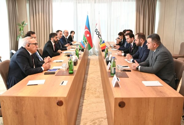 SOCAR, Romania discuss natural gas supply issues (PHOTO)