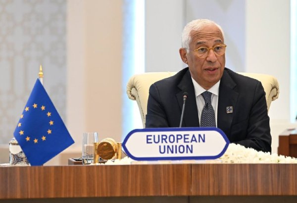 European Council president praises Central Asia's energy transition and climate strategies