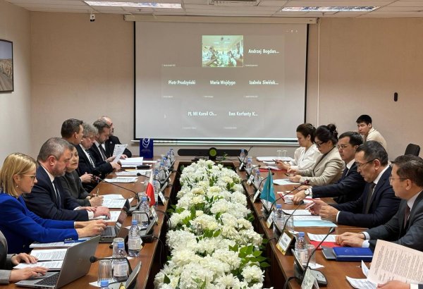 Kazakhstan sees increase in road freight transport with Poland in 2024
