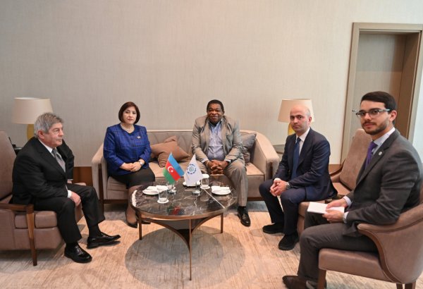 Cooperation between Parliament of Azerbaijan and Inter-Parliamentary Union discussed