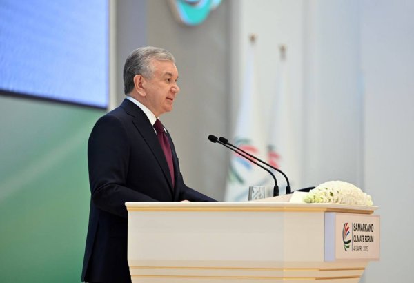 Uzbekistan's Mirziyoyev vows to rev up greenhouse gas emissions cut commitment