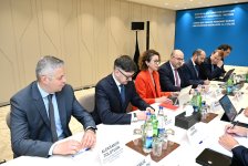 Azerbaijan, Germany tackle key issues to strengthen mutual investment