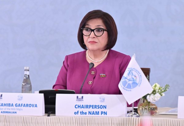 Azerbaijani speaker secures another term as chair of NAM parliamentary network