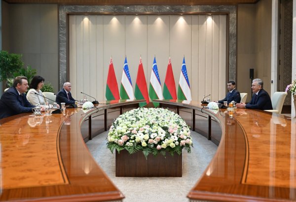 President of Uzbekistan receives Belarusian National Assembly chairperson