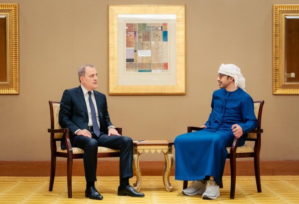 Azerbaijan , UAE set stage for deeper co-op within international organizations