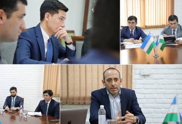 Uzbekistan, Spanish Minaret Renovables discuss expansion of co-op in renewables