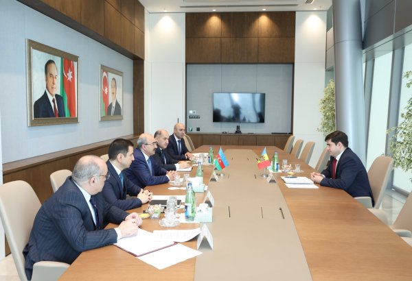 Azerbaijan, Moldova talk privatization and efficient use of state assets