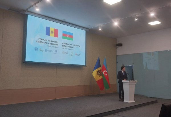 Moldova invites Azerbaijani investors to dive into privatization pool of state enterprises