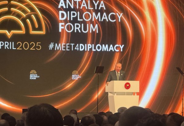 Türkiye's path to full EU membership remains unwavering – Erdoğan
