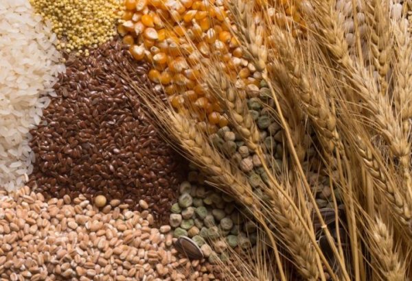 Kazakhstan's grain prices hike amid growing demand and market shifts