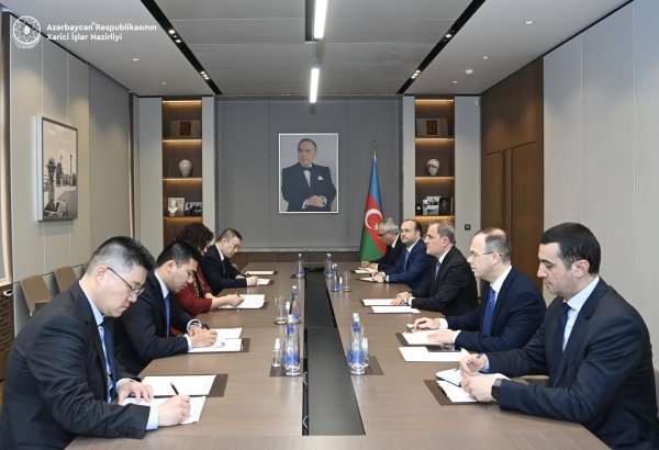 Azerbaijan, China parley versatile strategic partnership facets (PHOTO)