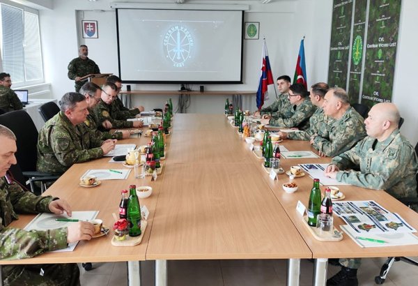 Azerbaijan, Slovakia debate prospects for military-technical co-op (PHOTO)