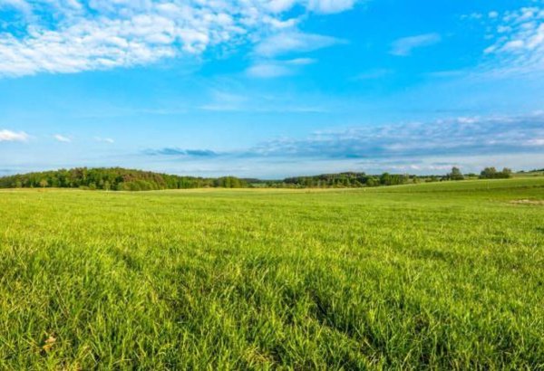Spring fieldwork in Kyrgyzstan nears completion