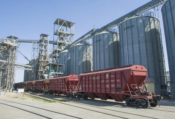 Kazakhstan running with impressive growth in grain exports for 2024-2025 season