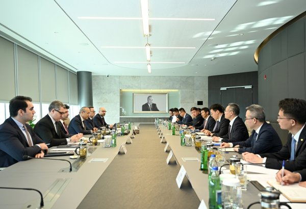 Azerbaijan, PowerChina swap views on renewables sector projects (PHOTO)