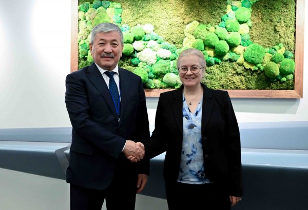 IFC expresses interest in backing renewables and water supply projects in Kyrgyzstan