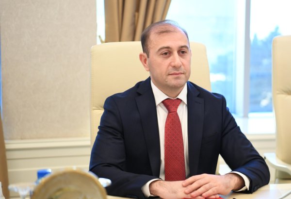 Cyberattacks pose threat even to advanced industrial nations – Azerbaijani MP