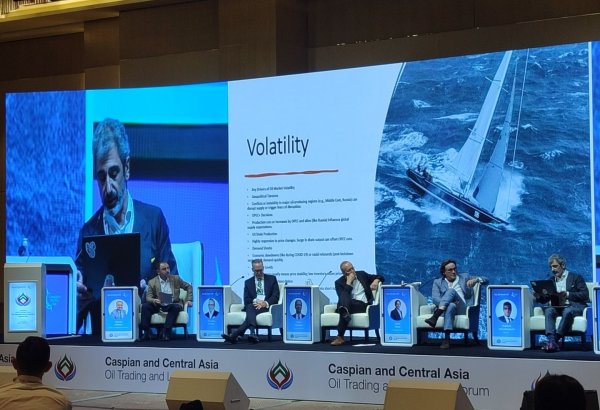 Oil market volatility hits record high levels - Viento's director