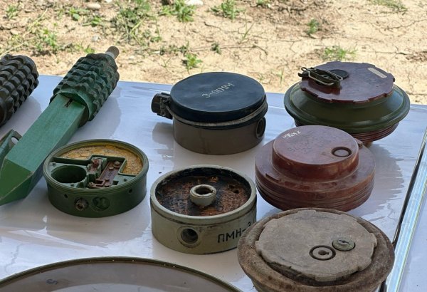 Azerbaijan discloses number of mines found in Jabrayil district