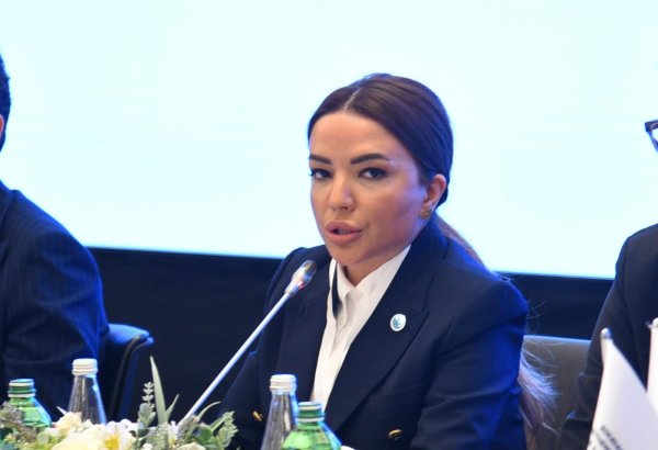 Azerbaijan's Agency for State Support to NGOs funds key Global South projects