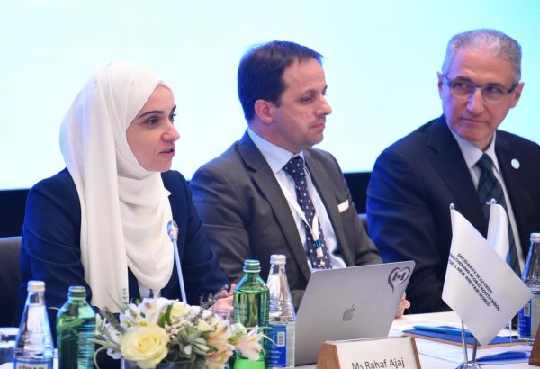 Creation of Global South NGO Platform opens up new opportunities - UAE WiRE