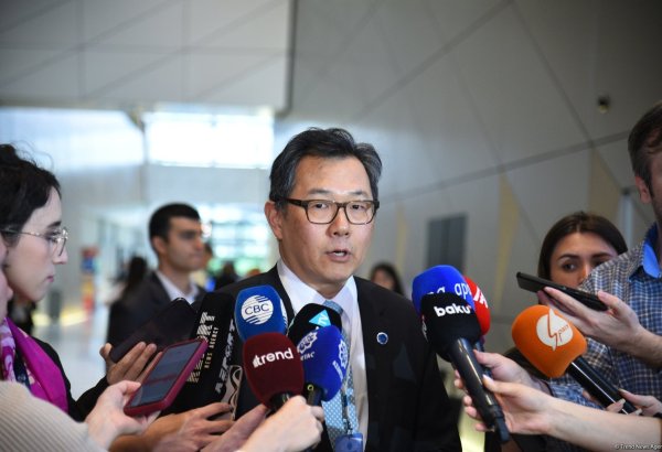 Platform for Global South NGOs stands more relevant than ever - UN DESA