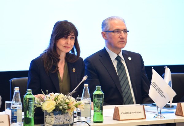 UN plans to continue supporting Azerbaijan's SDGs with civil society - coordinator