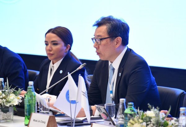 UN DESA representative highlights importance of South-South co-op for SDG implementation